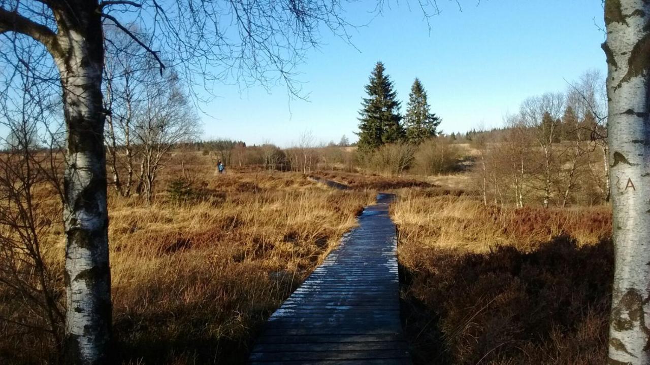 Hallerblick Моншау Экстерьер фото