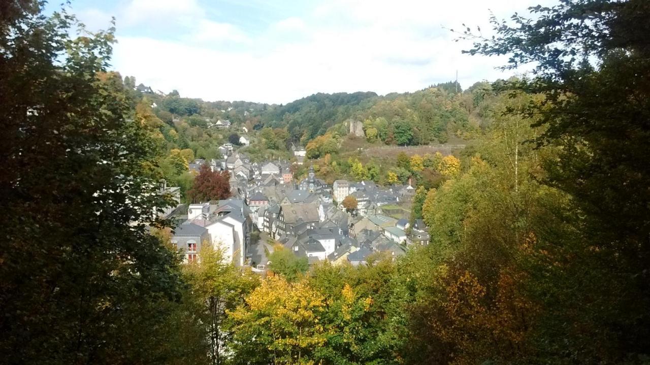 Hallerblick Моншау Экстерьер фото